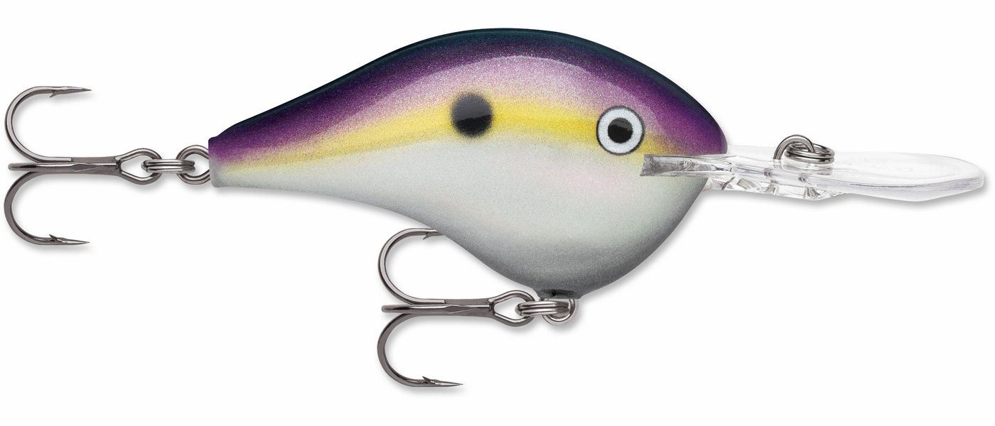Rapala DT10 Series Crankbait
