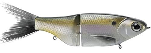 KGB SERIES CHAD SHAD 180