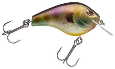 FAT PAPA SB 70, Color: bluegill