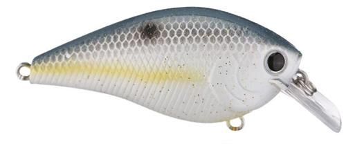 LC Square Bill Crankbait, Color: sexy chartreuse shad