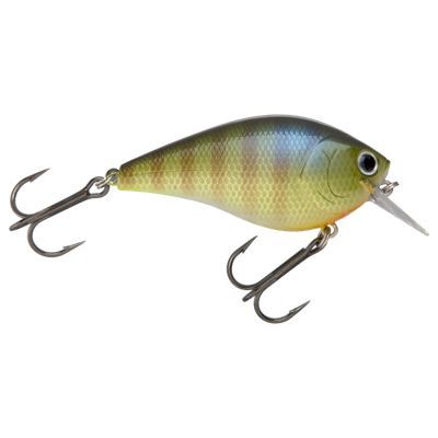 LC Square Bill Crankbait - 0.62 Oz, Color: be gill