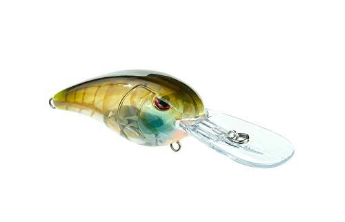 RkCRAWLER 55, Color: clear gill