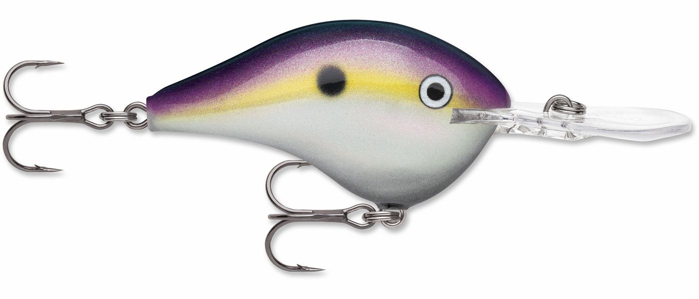 Rapala DT10 Series Crankbait, Color: big shad