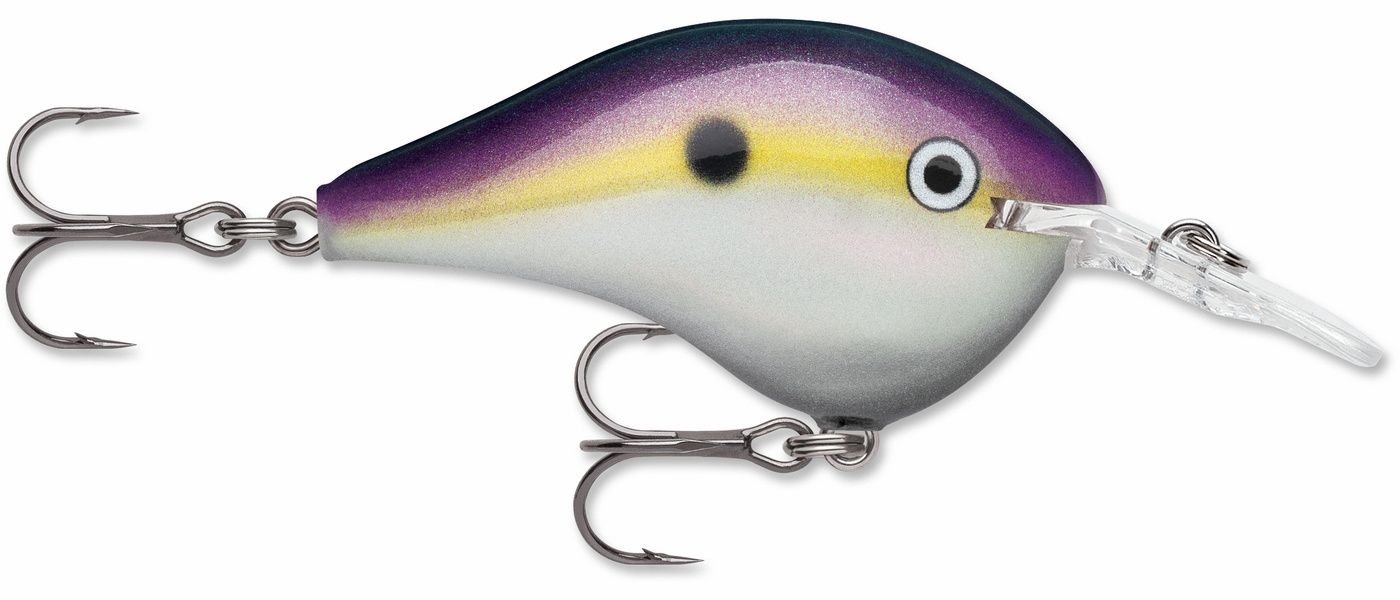 Rapala DT6 Series Crankbait, Color: big shad