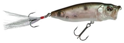 Megabass Popmax Topwater, Color: Mat Shad