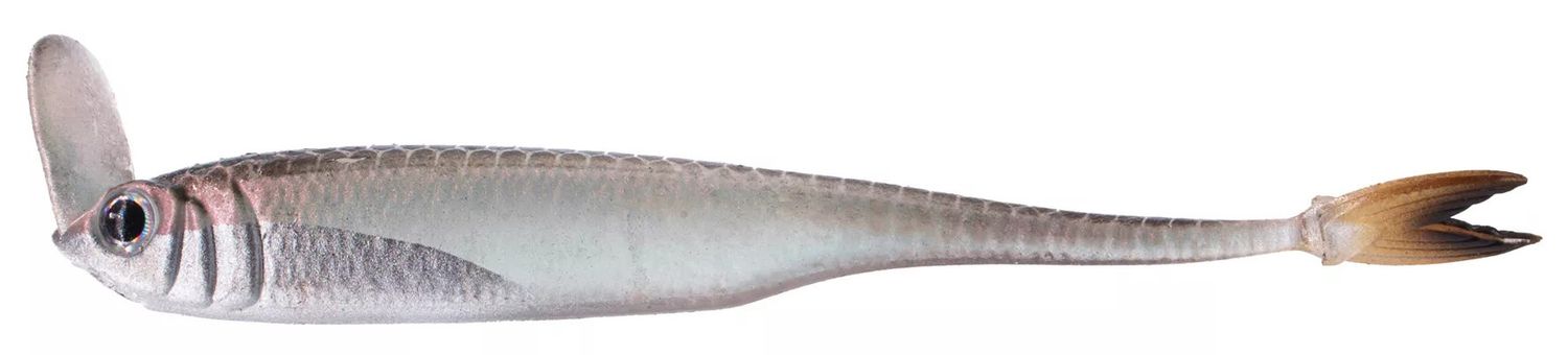 Strobe Shaker Minnow 5.0, Color: Ghost Pro Shiner