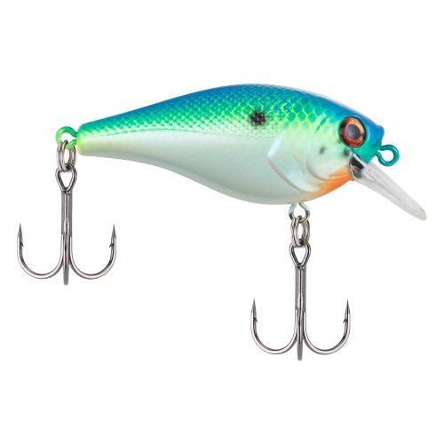 Berkley SquareBull Hard Bait, Crankbait, 5.5in, Color: Big Money