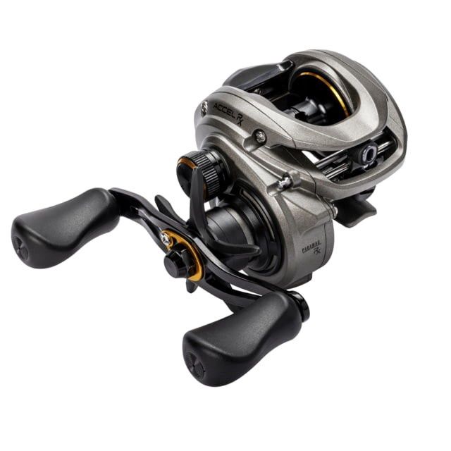 Lew's Accel RX Baitcast Reel, 7.5/1, Right Hand, Gray/Gold, 11-19479