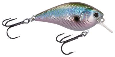 Lucky Craft Inshore Square Bill Crankbait - MS Green Herring