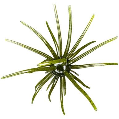 Hag's Baits Prickly Pear 19mm Hag's Pumpkin