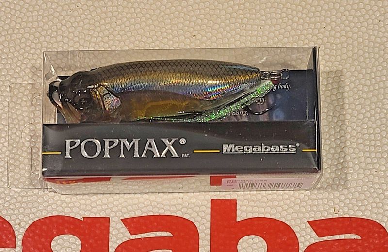 Megabass PopMax Kasumito