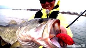 Deps Evoke 3.0 Squarebill Crankbait, Color: Red Blue Gill