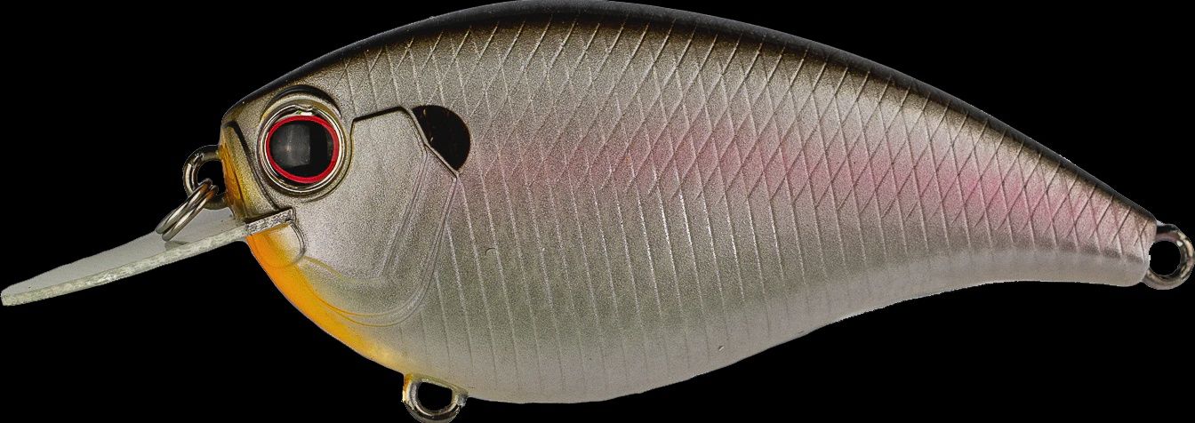 Evergreen SAFS5-226 Fishing Lure