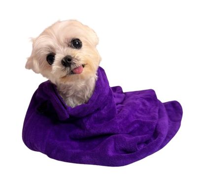 Violet Terry Towelling Cover Up for Pets (S)