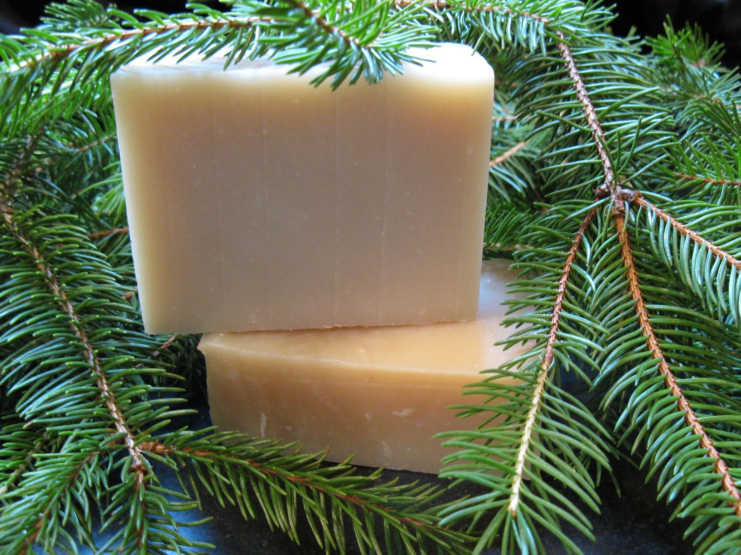 Fir Forest Soap - After the Holidays Sale!