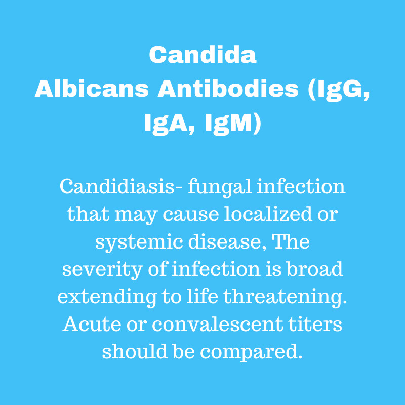 Candida Antibodies IgG IgA IgM