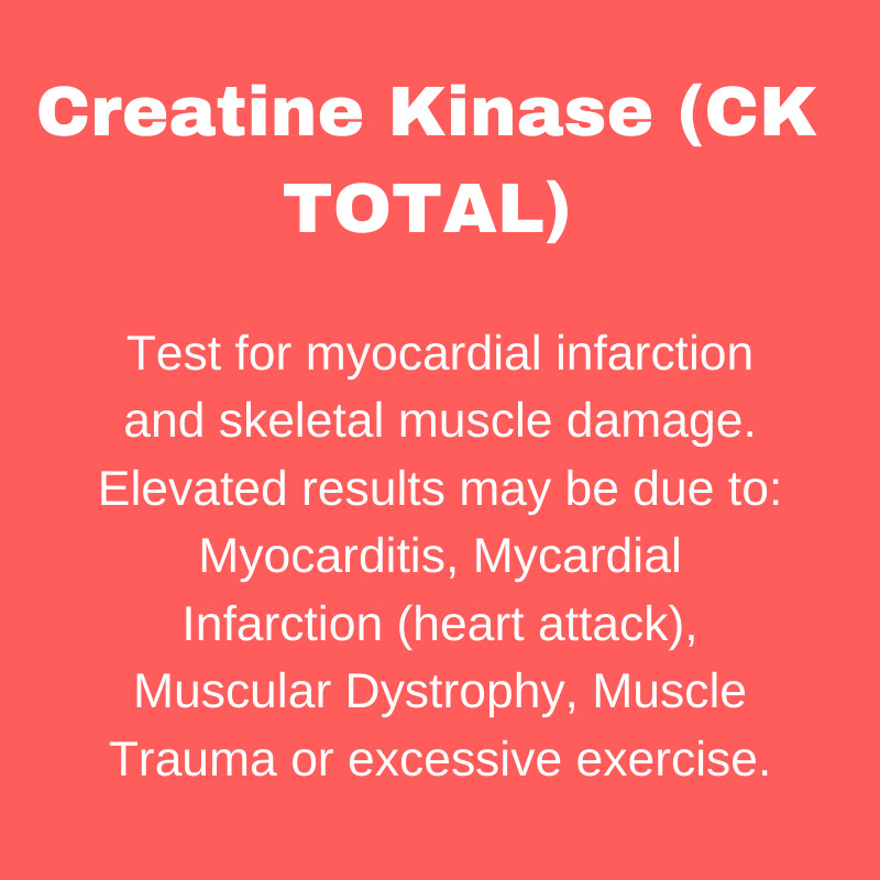 Creatine Kinase CK Total