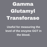 GGT- Gamma Glutamyl Transferase