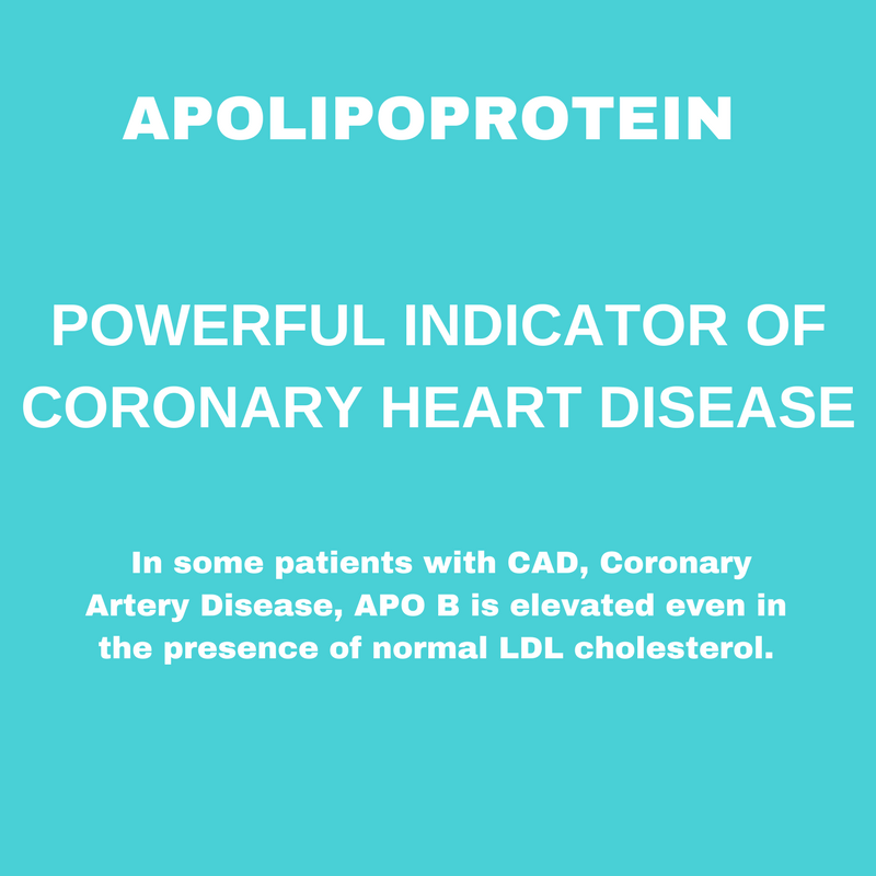 APOLIPOPROTEIN B