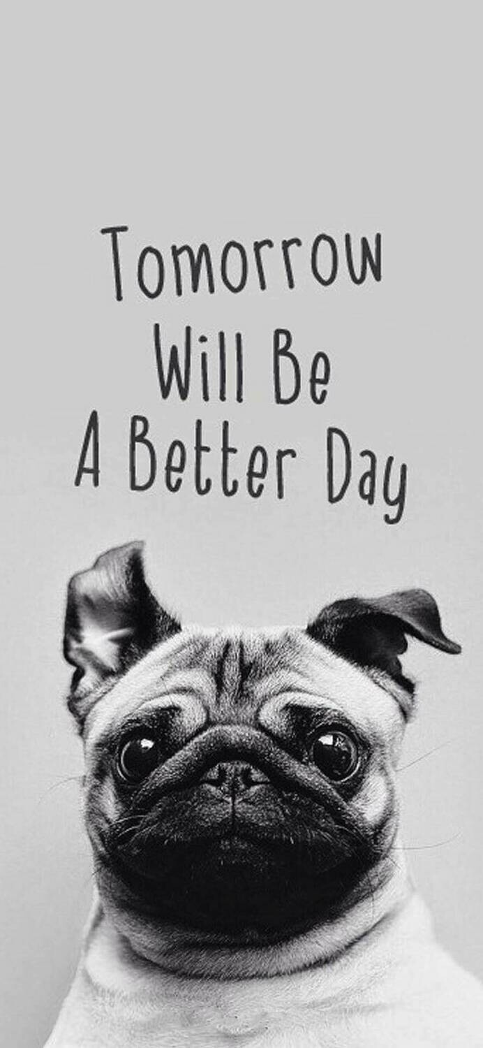 Better Day Pug - Full Drill Diamond Painting - Specially ordered for you. Delivery is approximately 4 - 6 weeks.