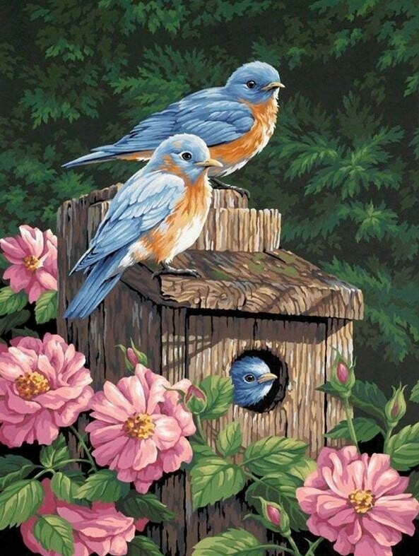 Bird House 02 - Full Drill Diamond Painting - Specially ordered for you. Delivery is approximately 4 - 6 weeks.