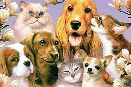 Cats And Dogs- Full Drill Diamond Painting - Specially ordered for you. Delivery is approximately 4 - 6 weeks.