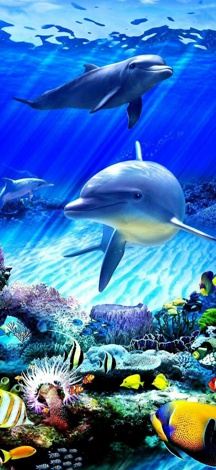 Dolphins 02 - Full Drill Diamond Painting - Specially ordered for you. Delivery is approximately 4 - 6 weeks.