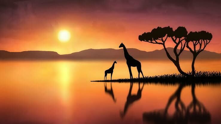 Giraffe 07- Full Drill Diamond Painting - Specially ordered for you. Delivery is approximately 4 - 6 weeks.