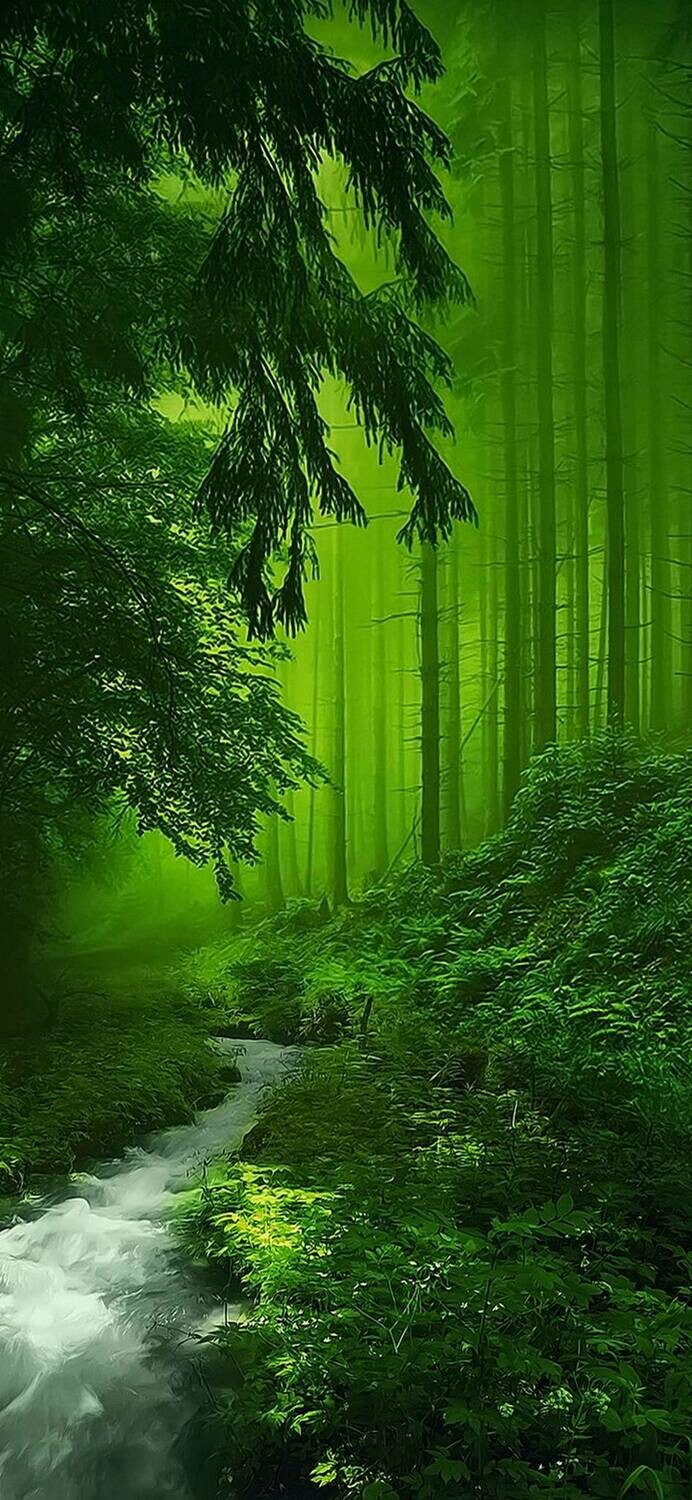 Green Forest - Full Drill Diamond Painting - Specially ordered for you. Delivery is approximately 4 - 6 weeks.