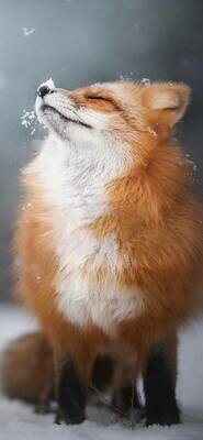 Fox 03 - Full Drill Diamond Painting - Specially ordered for you. Delivery is approximately 4 - 6 weeks.