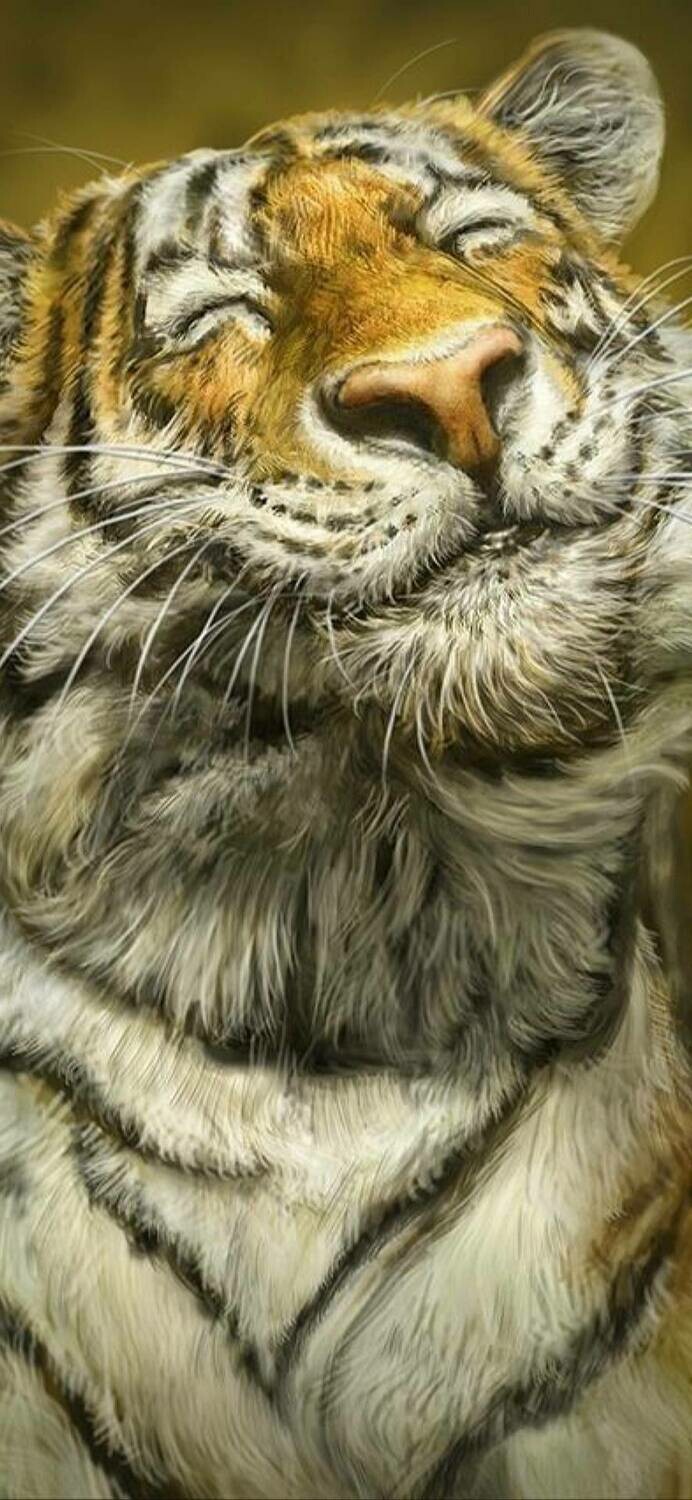 Happy Happy Tiger  - Full Drill Diamond Painting - Specially ordered for you. Delivery is approximately 4 - 6 weeks.