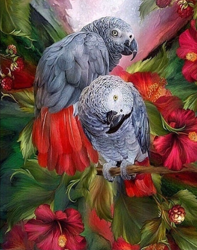 Parrots 03 - Full Drill Diamond Painting - Specially ordered for you. Delivery is approximately 4 - 6 weeks.