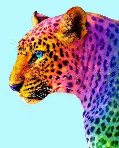 Rainbow Animals 13 - Full Drill Diamond Painting - Specially ordered for you. Delivery is approximately 4 - 6 weeks.