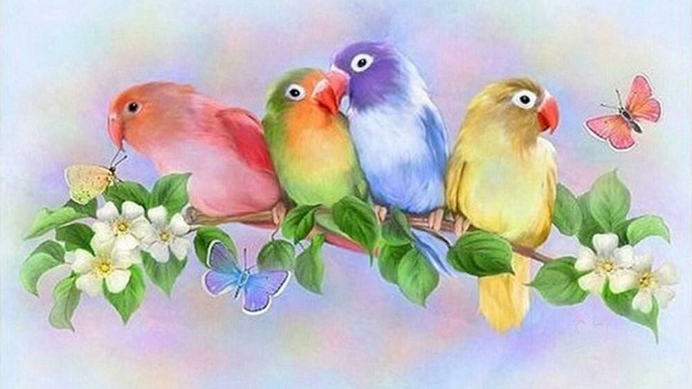 4  Pretty Birds - Full Drill Diamond Painting - Specially ordered for you. Delivery is approximately 4 - 6 weeks.