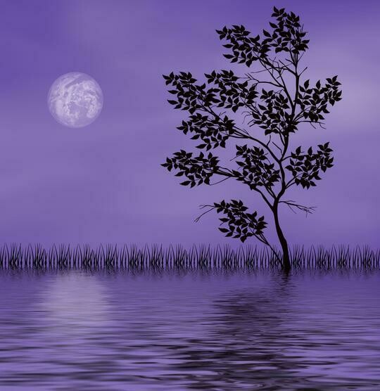 Purple Scenery - Full Drill Diamond Painting - Specially ordered for you. Delivery is approximately 4 - 6 weeks.