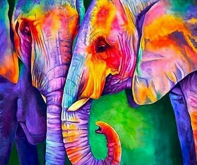 Paint by Number - Colourful Elephants - 40 x 50cm