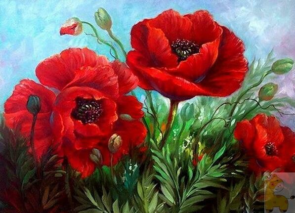 Paint by Number - Poppies - 40 x 50cm