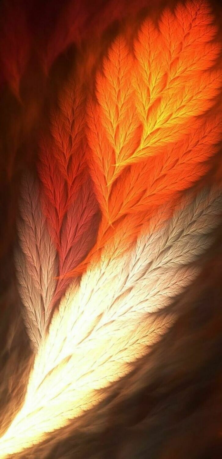 Feather Orange- Full Drill Diamond Painting - Specially ordered for you. Delivery is approximately 4 - 6 weeks.