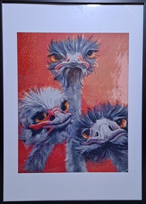 Emu&#39;s 40 x 50cm round drills - completed by Alison