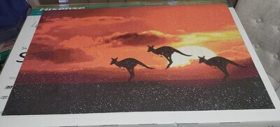 Kangaroos 60 x 90cm round drills - completed by Amanda Chandler