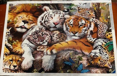 All the Big Cats 61 x 91.5cm square drills - completed by Rebecca Graham