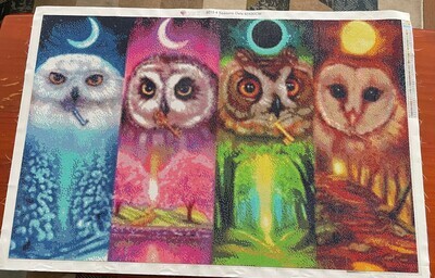 4 Seasons Owls 60 x 90cm square drills - completed by Rebecca Graham
