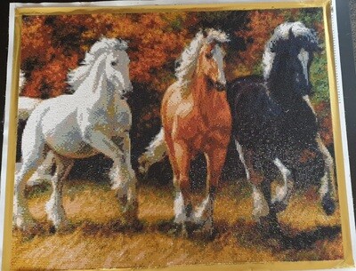 3 Horses 50 x 60cm square drills - completed by Jo Dutton