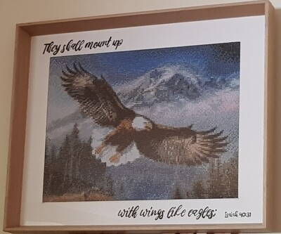 Eagle 30 x 40cm round drills - completed by Lisa van Dijk