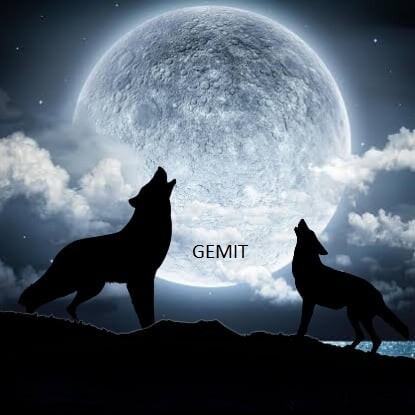 Howl Wolf Moon By Jess - Full Drill Diamond Painting - Specially ordered for you.  Delivery is approximately 4-6 weeks