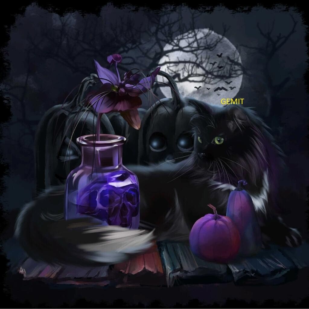 Black Cat By Jess - Full Drill Diamond Painting - Specially ordered for you.  Delivery is approximately 4-6 weeks