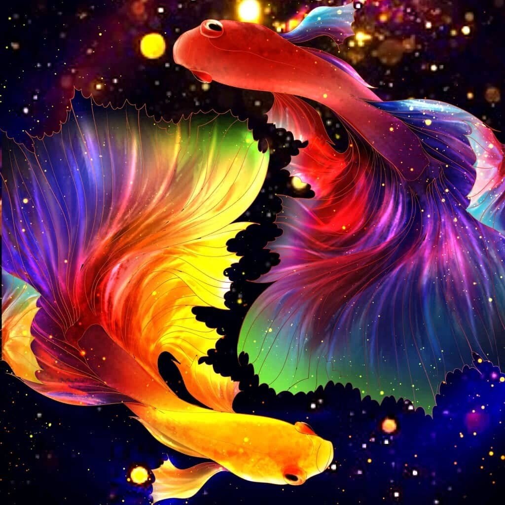 Colourful Fish By Jess - Full Drill Diamond Painting - Specially ordered for you.  Delivery is approximately 4-6 weeks