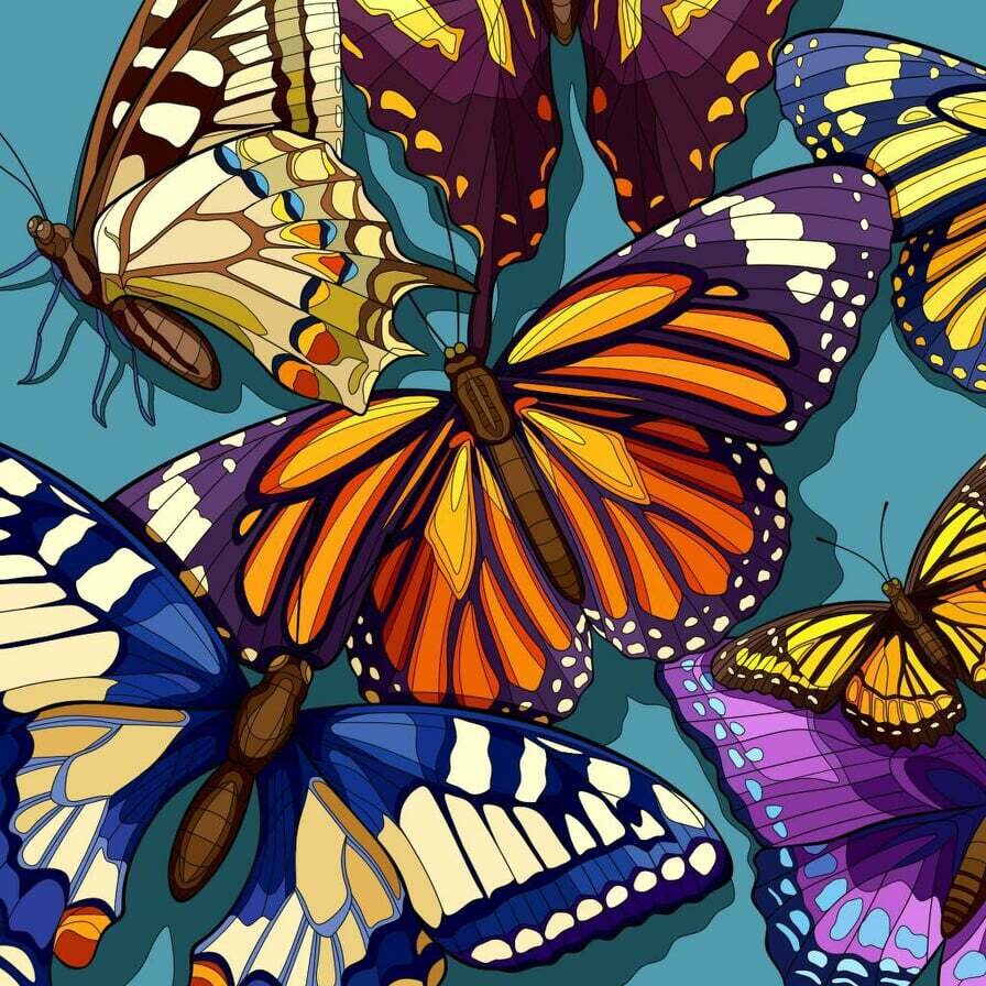 Butterflys By Alison - Full Drill Diamond Painting - Specially ordered for you.  Delivery is approximately 4-6 weeks
