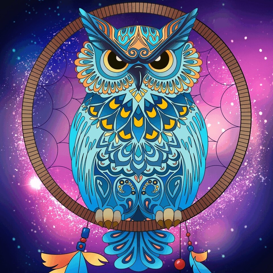 Blue Owl - 40 x 40cm Full Drill (Round), Diamond Painting Kit - Currently in stock