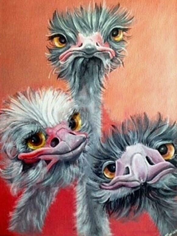 3 Emus - 50 x 70cm - Full Drill (SQUARE), Diamond Painting Kit - Currently in stock